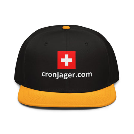 Baseball Caps, Dad Hats and Snapback Caps