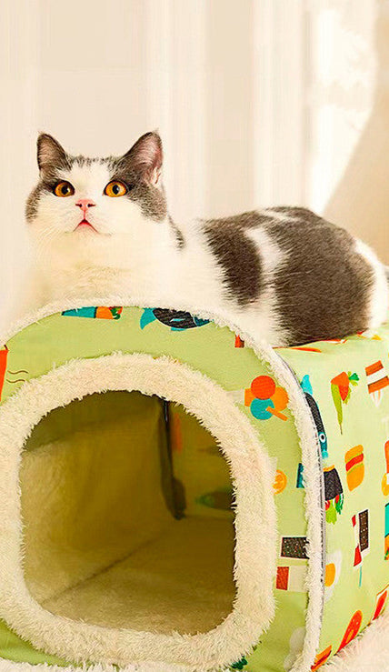 Pet Accessories