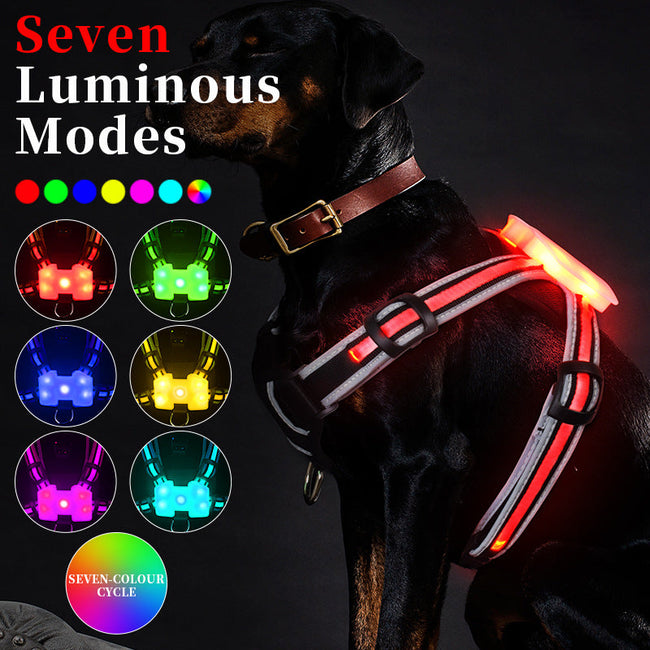 Correa Luminosa de Carga para Perros Comunes, Correa de Nylon Luminosa Antiexplosiones para Sujetar con la Mano