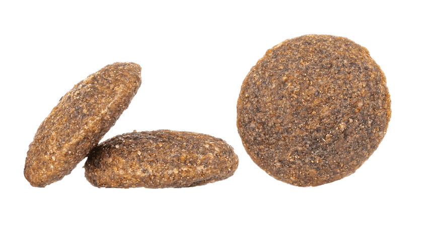 Duck Grain-Free Dog Food (France)