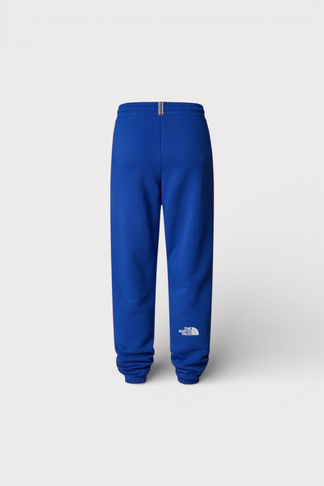 Pánské fleecové kalhoty The North Face Axys modré