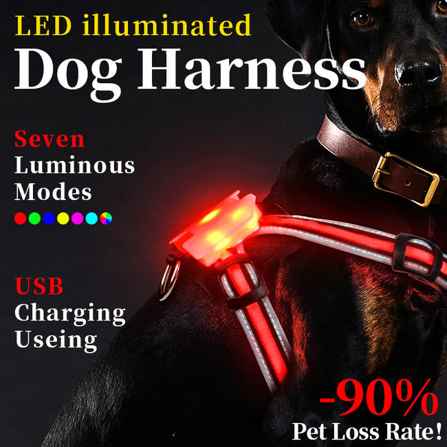 Correa Luminosa de Carga para Perros Comunes, Correa de Nylon Luminosa Antiexplosiones para Sujetar con la Mano