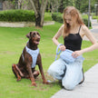 Hand Holding Rope Explosion-proof Chest Back Suit Widened Pet Collar Mini Schoolbag Dog Stool Bag
