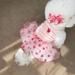 New Dog Clothes Cute Mesh Strawberry Strap Dress