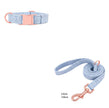 Pet Dog Collar Engraving Anti-Lost Traction Rope Supplies