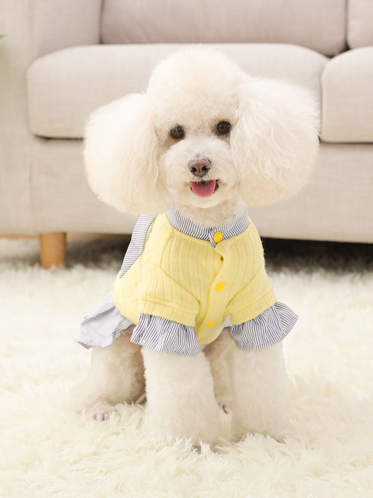 Dog Clothes Thin Style Small Dog Pet Trendy Autumn And Winter Clothes