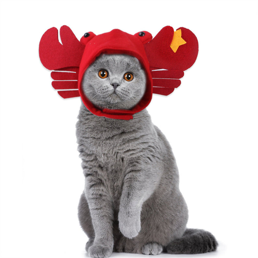 Pet Headgear Cute Dog Teddy Dress Up SUNFLOWER Cat Headdress Wig Cat Headgear Hat