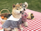 Shirt Tide Pet Clothes