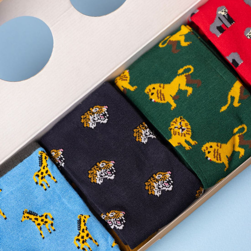 Zoo Sock Box - 4 Pairs of Bamboo Socks (His)