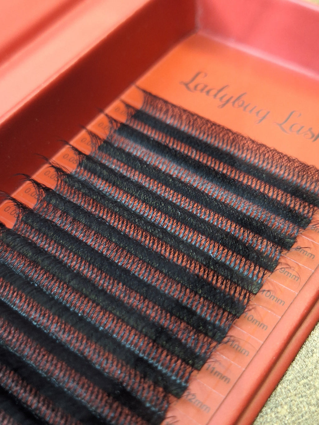 10D Clover Lash 16 Row Mixed Tray