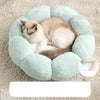 Cat and dog pet nest