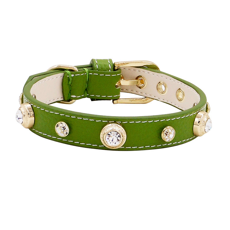 New Hot Sell Leather Pet Collar Multicolor