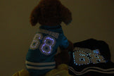 Ropa para mascotas con LED luminoso