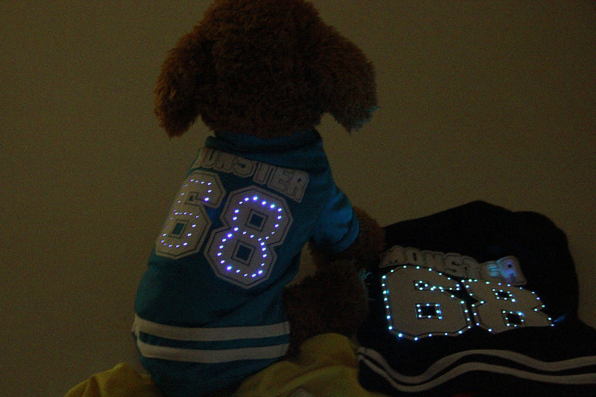 Ropa para mascotas con LED luminoso