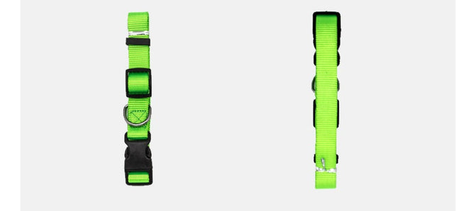 Neues Haustierhalsband