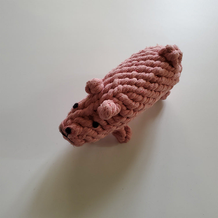 Pet molar toy