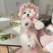 Mesh Bichon Teddy Dog Skirt