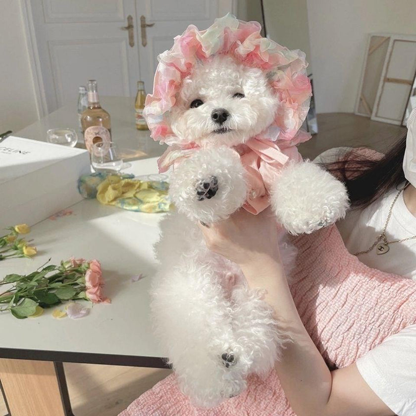 Mesh Bichon Teddy Dog Skirt