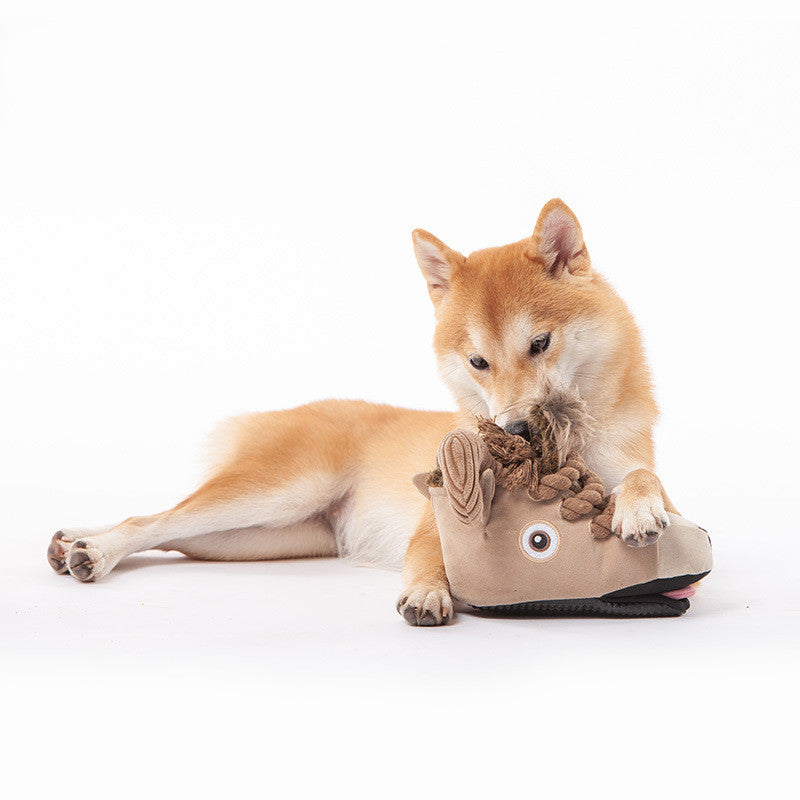 Dog toy bite-resistant glow