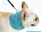 Law Fighting Collar Supplies Triangle Towel Cooling Summer Heatstroke Cat British Cattle Pet Cool Scarf