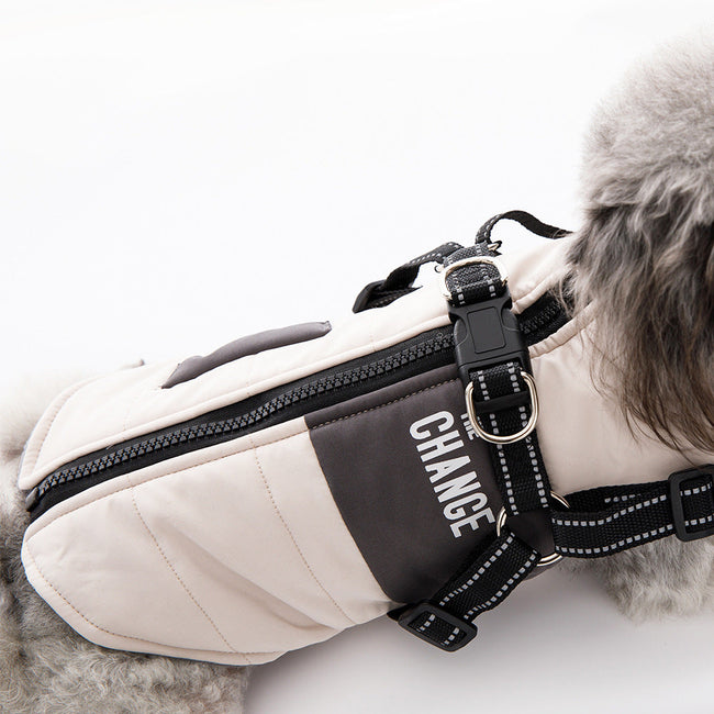 Pet Bären Hundekleidung Zugseil