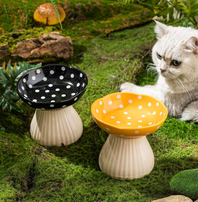 Mushroom Raised Cat Bowl With Cute Polka Dot Design And Safe Ceramic Material For Small Pets