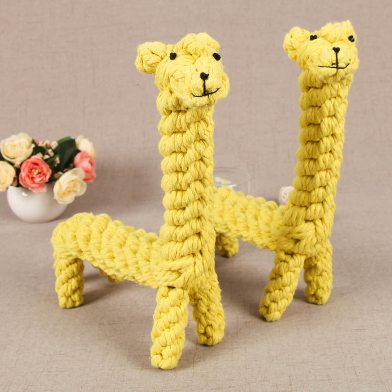 Pet molar toy