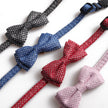 Pet cute bow shiny collar