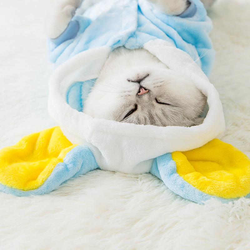 Netter roter Katzen-Verkleidung-kleiner Milchkatzen-Haarlose-Katzen-Kitten-Vierbeiner-Anzug, süße Katze, Haustier, englische kurze Herbst-Winterkleidung