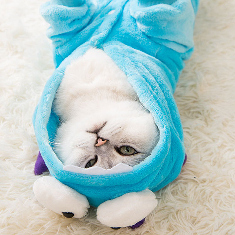 Netter roter Katzen-Verkleidung-kleiner Milchkatzen-Haarlose-Katzen-Kitten-Vierbeiner-Anzug, süße Katze, Haustier, englische kurze Herbst-Winterkleidung