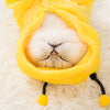 Netter roter Katzen-Verkleidung-kleiner Milchkatzen-Haarlose-Katzen-Kitten-Vierbeiner-Anzug, süße Katze, Haustier, englische kurze Herbst-Winterkleidung