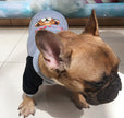 Mops kleine und mittelgroße Hundedecke mit Kaschmir-Futter