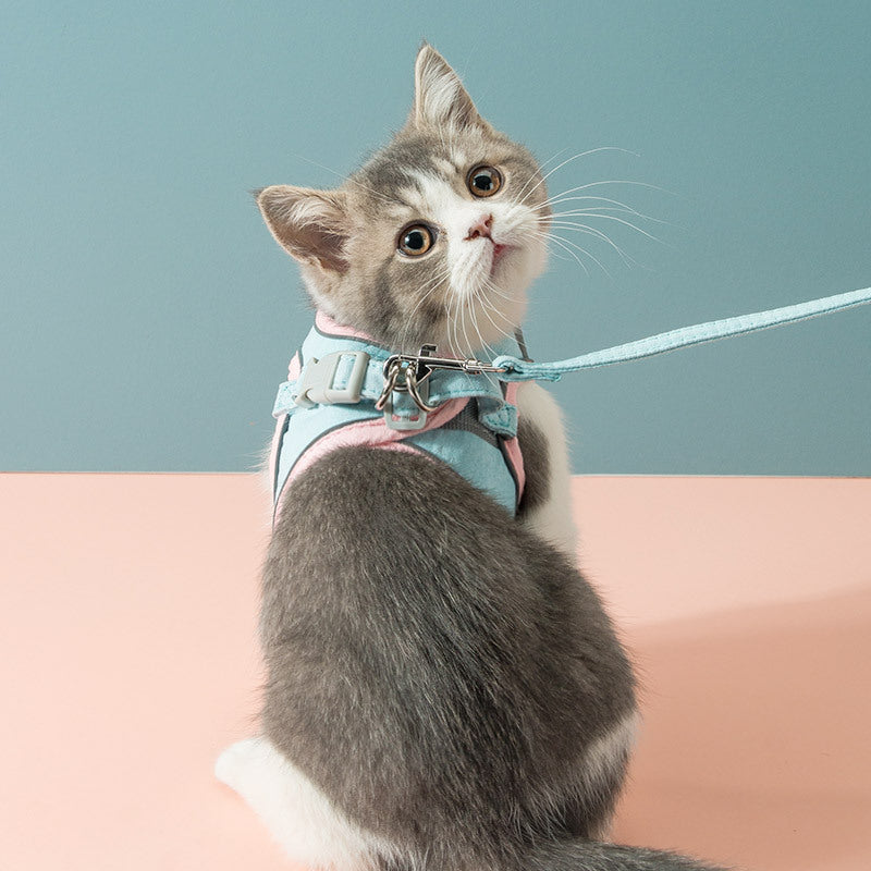 Katzen-Zugseil, Brustgurt zum Verhindern des Entweichens von Haustieren, Katzengeschirr
