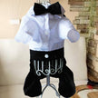 Teddy Dog British Bow Tie Suit Bib