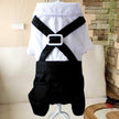 Teddy Dog British Bow Tie Suit Bib