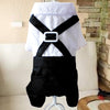 Teddy Dog British Bow Tie Suit Bib
