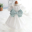 Princess Mint Butterfly Cat Pet Clothes
