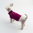 Knitted Teddy Dog Sweater with Rhinestone Lace