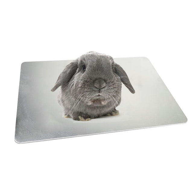 Haustier-Kühlplatte Aluminiumplatte Kaninchen-Kühlplatte Meerschweinchen
