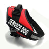 DogDogDogDogDogDogDogDog