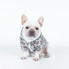 Teddy Dog Pattern Print Pet Clothes