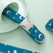 Outdoor Safety Dog Walking Collar