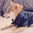French Fighting Leather Shiba Inu Clothes Pet Leather
