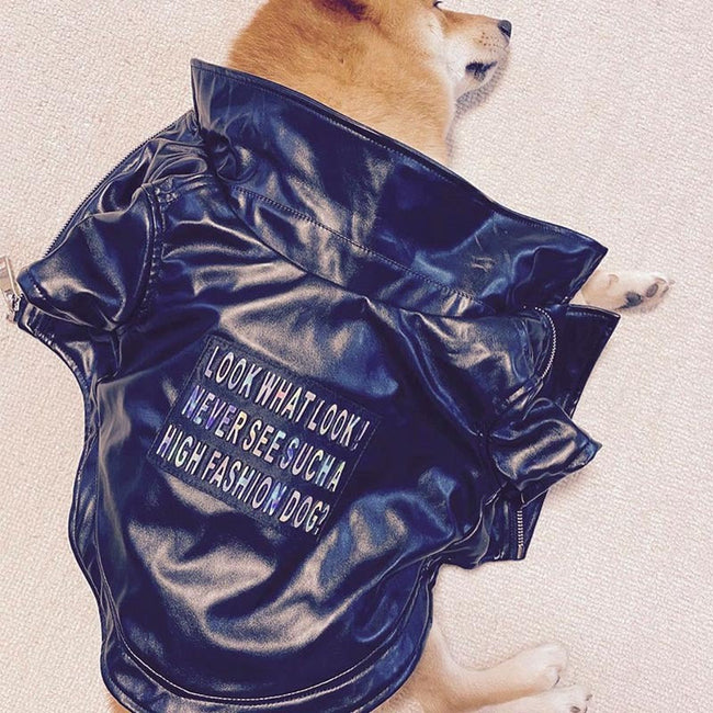 French Fighting Leather Shiba Inu Clothes Pet Leather