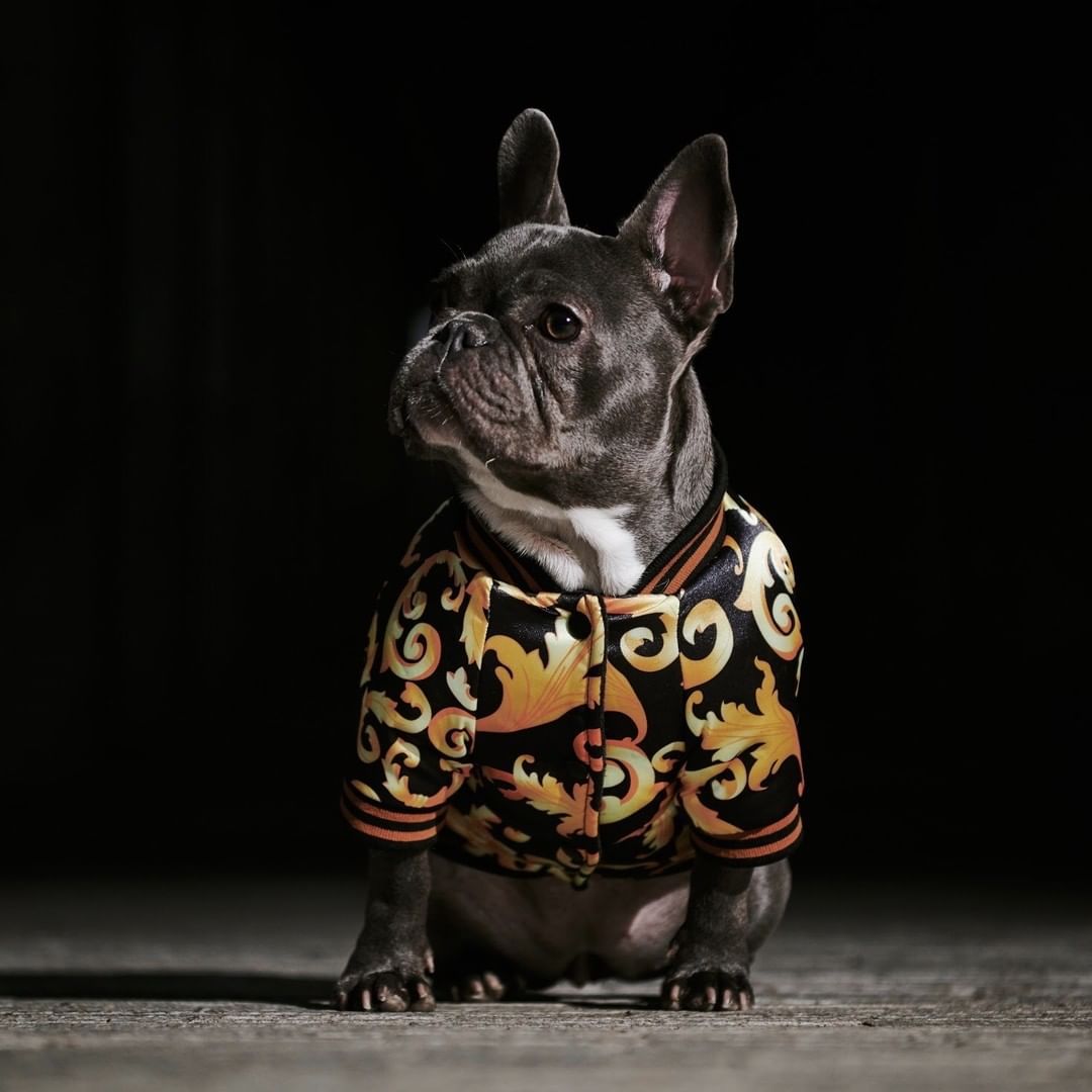 Hundemantel der Trendmarke 