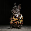 Hundemantel der Trendmarke 