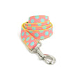Polka Dot Pet Collar Traction Rope Dog