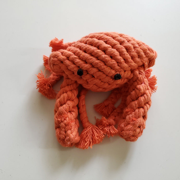Pet molar toy