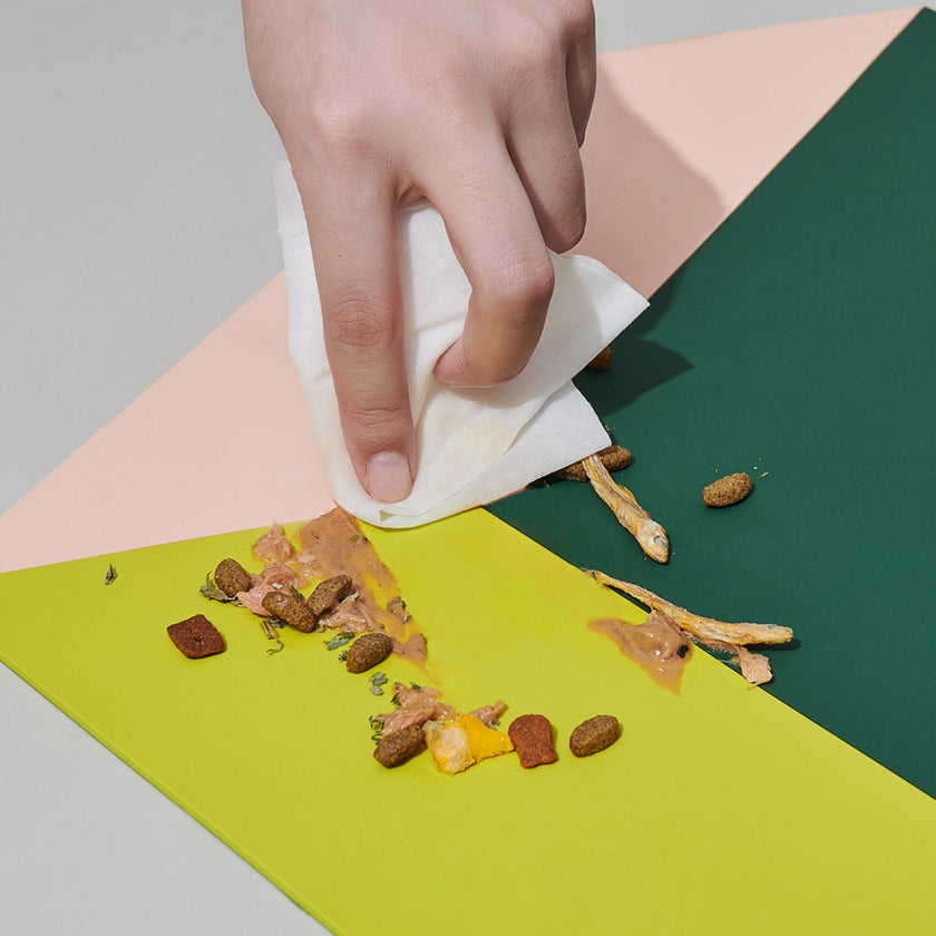 Interdental Party Pet Placemats Spill-proof And Waterproof