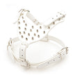 Three Piece Pet Rivet Set